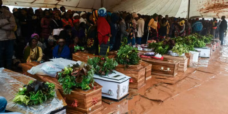 Bearing the Brunt: Climate Change’s Unfair Toll on Sub-Saharan Africa