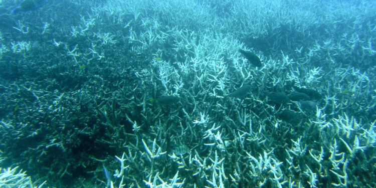 Effects of Global Warming: Recent Scientific Findings