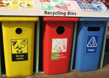 The Role of Recycling in Environmental Protection